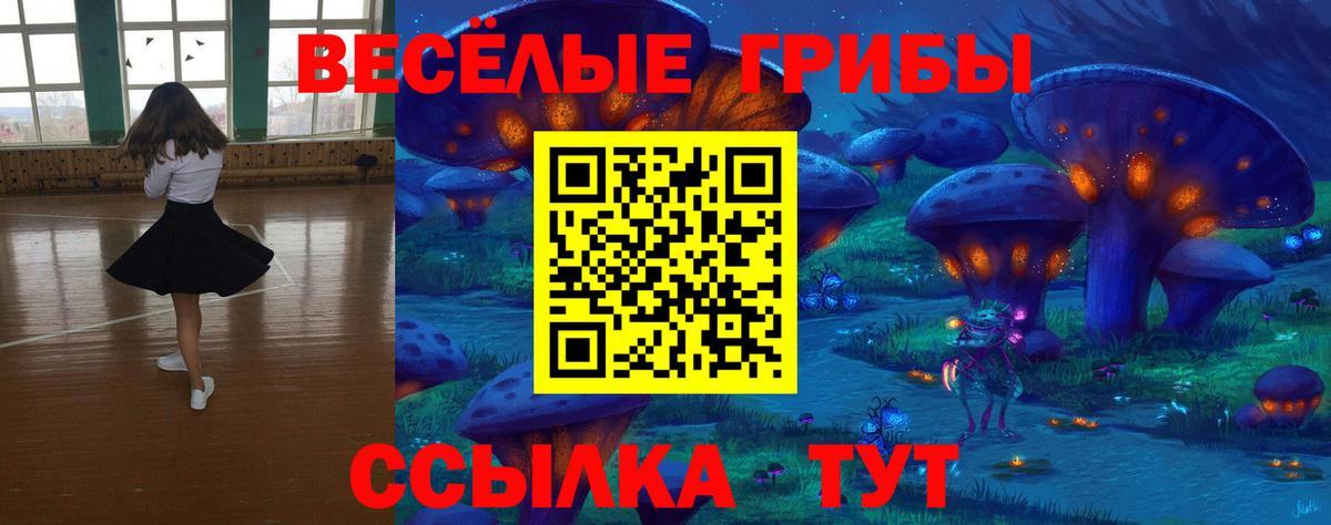 Галлюциногенные грибы Psilocybine cubensis Реж